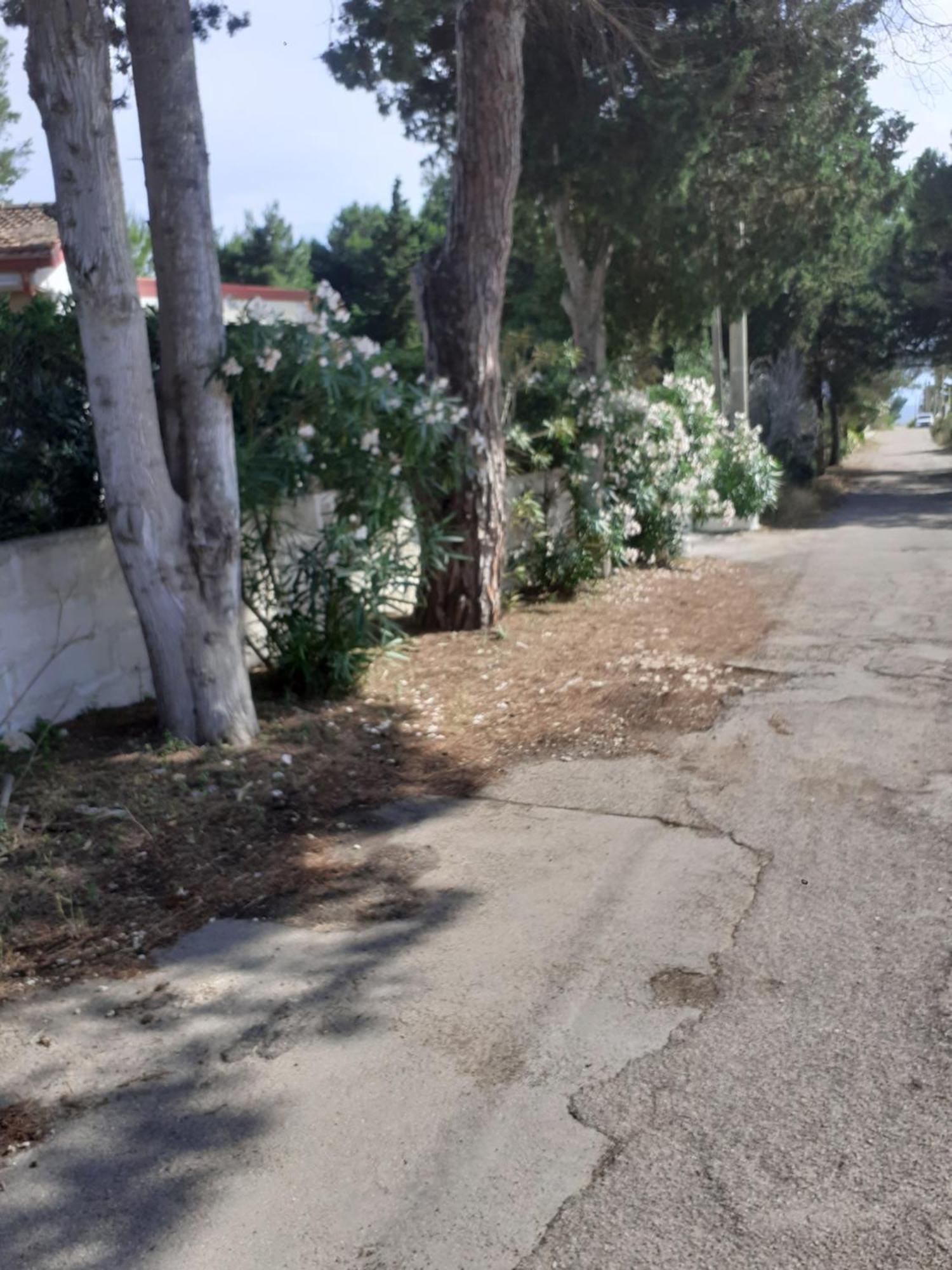 Villetta Dei Fiori, Vicino Spiaggia Di Punta Pizzo Gallipoli Esterno foto